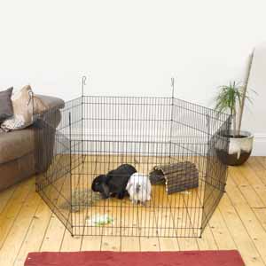 Play Pen