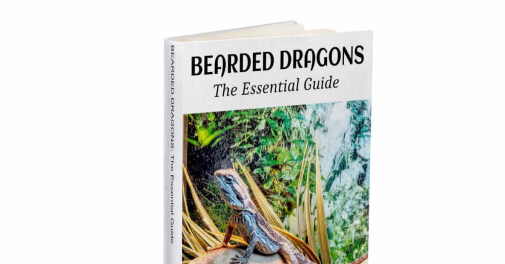 Our Bearded Dragon Book - The Essential Guide