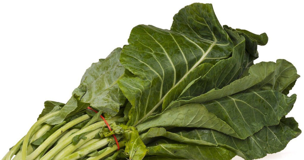 collard / spring greens