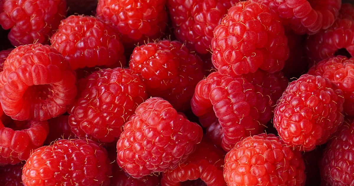 can bearded dragons eat raspberries featured image