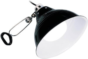 reflector for bearded dragon basking lamp