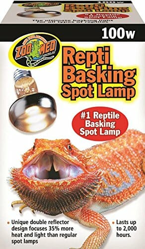 Bearded dragon basking lamp