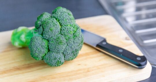 can bearded dragons eat broccoli featured image