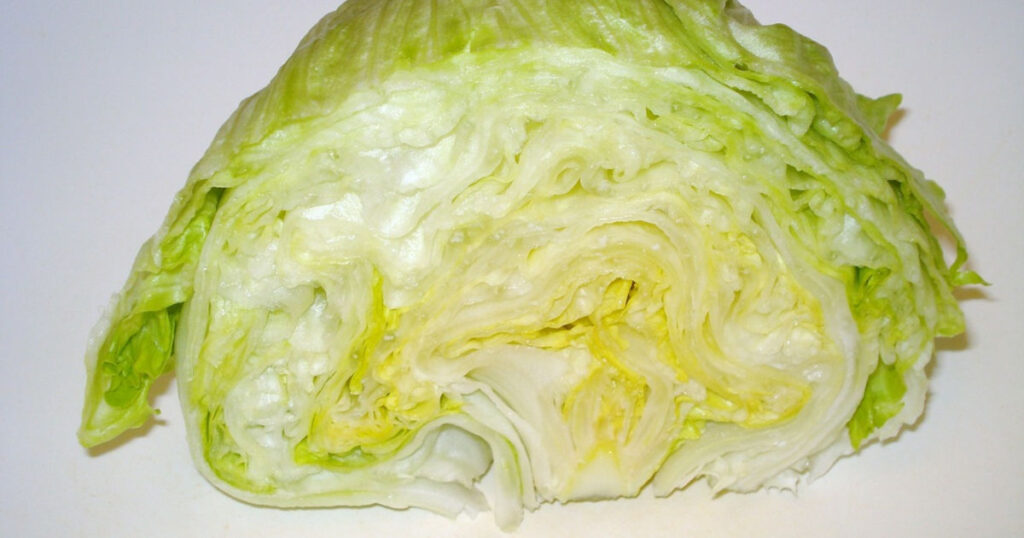 Can Bearded Dragons Have Iceberg Lettuce Featured Image