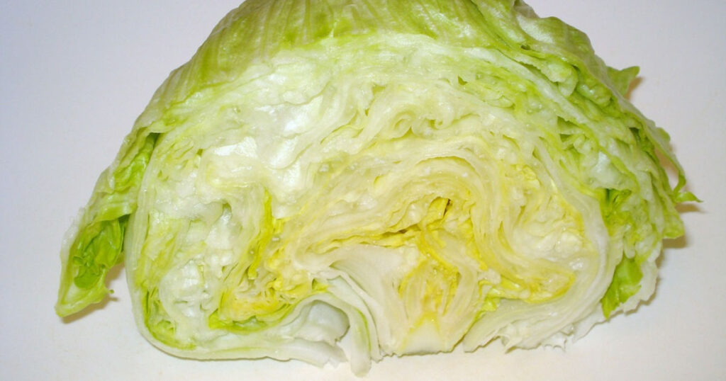 can bearded dragons have iceberg lettuce featured image