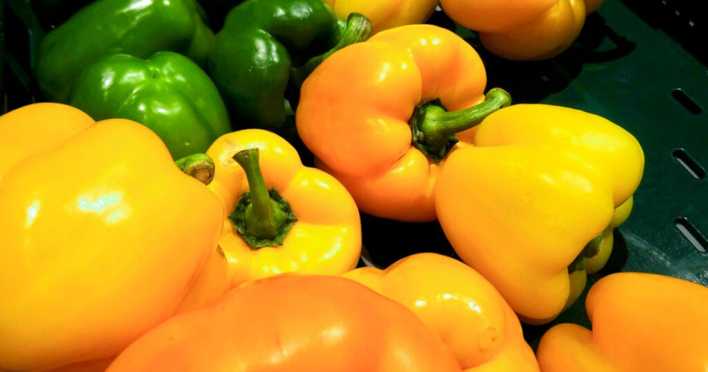 can bearded dragons eat bell peppers featured image